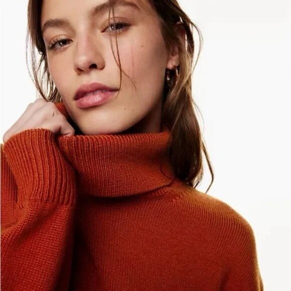 Aritzia 100% Merino Wool Wilfred Free Treasures Turtleneck Sweater Relaxed Fit - Picture 4 of 12